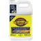 Wood Brightener Clear None 1 Gallon