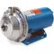 Pump Centrifugal 1/2hp