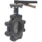 Butterfly Valve Lug 5 Inch Cast Iron Epdm Liner