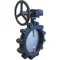 Butterfly Valve Lug Style Size 10 In