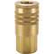 Quick Coupler, 3/8 Inch Thread Size, 300 Psi, Brass