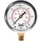 Gauge Pressure 2-1/2 Inch 0 to 30 psi