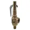 Relief Valve, PFA, 55 Psi