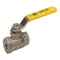 Ball Valve, Size 2-1/2 Inch NPT, Stainless Steel, 250 Psi Steam Working Pressure