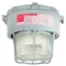 High Pressure Sodium Light Fixture, 100W