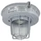 Pendant Lighting Fixture, 175W