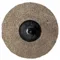 Unitized Non-Woven Wheels, 2 Inch Dia x 1/4 Inch Width, TR Quick-Change, Aluminum Oxide, ZWEB