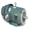 D-series Brake Motor, 230/460V, 1800 RPM, 60 Hz, 10 hp, TEFC, 215TC Frame