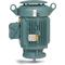 Vertical P-Base Motor, 230/460V, 1800 RPM, 60 Hz, 25 hp, TEFC, 286LP Frame