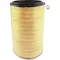 Air Filter 12-1/8 x 18-1/2 Inch