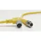 Cordset 5 Pin Plug Male