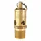 Safety Valve, Soft Seat, 1/2 Inch MNPT Inlet, 5/16 Inch FNPT Outlet