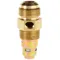 In-Tank Check Valve, 1/2 Inch Inlet, Sae Flare, 1/2 Inch Outlet MNPT, 20 SCFM