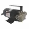 Utility Pump 115vac