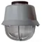 Explosion Proof Steady-On Light, Red, 120VAC at 50/60 Hz