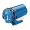 208 to 240/480 VAC Totally Enclosed Fan-Cooled Centrifugal Pump, 3-Phase