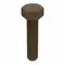 Hex Head Cap Screw, PEEK, Not Graded, Plain, M5-0.80, Coarse, 35 mm Length, Fully Threaded