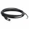 Cordset, M17 Female Straight X Bare Wire, 17 Pins, Black, Pur, 10 M Cable Lg