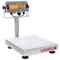 Bench Scale, 30kg Capacity, 0.005kg Readability, 12 x 14 Inch Pan Size, 120V, 60Hz