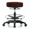 Vinyl ESD Cleanroom Stool, With 300 lbs Weight Capacity, Burgundy