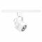 Track Lighting Head, Incandescent, White, 50 W Max Watt, 2 1/4 Inch Dia