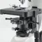 Phase Contrast Microscope, Trinocular Tube Type, 4x, 10x, 20x, 40x, 100x Magnification