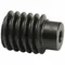 Ground & Machined Worm, Left Hand, 1 Starts, Module m 2.5, Black Oxide Steel