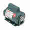 C4T17DJ25A General Zweck Motor 50-60 Hertz