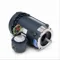 Explosion Proof Motor, 0.75 HP, 1 Phase, 60 Hz, 115/208-230V, 3600 RPM