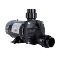 Transfer Pump, Non Corrosive, 3/4 Hp, 115V, 9.8A