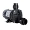 Transfer Pump, Non Corrosive, 2 Hp, 16.8/8.4A