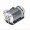 Explosion Proof Motor, 0.25 HP, 1 Phase, 60 Hz, 115 V, 1200 RPM