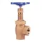 Angle Valve, 2-1/2 Inch Size, NPT End Style, Bronze Body