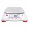 Compact Bench Scale, 2, 200 G Capacity, 0.01 G Scale Graduations