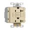 GFCI Receptacle, 20A, 125V, Ivory