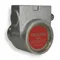 Rotary Vane Pump, 1/2 Inch Inlet/Outlet Nptf, 260 Gph Max. Flow, Stainless Steel