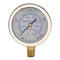 Mechanical Pressure Gauge, 2.5 Inch Dia., 0 To 2000 Psig/0 To 14000 Kpa