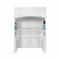 Filtered Fume Hood, 48 Inch Width, 102 1/5 Inch Height, 115V, 2 Filters Required