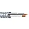 Metal Clad Armored Cable, 2 Conductor, 8 Awg