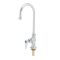 Single Pantry Faucet, Deck Mt, Eterna, Swivel/Rigid Gooseneck, Stream Regulator