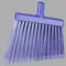 Flagged, Soft Angled Broom Purple