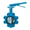 Domestic Lug Butterfly Valve, 959 In. Lbs. Torque, 5 Inch Inlet