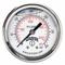 Panel-Mount Pressure Gauge, Front Flange, 0 to 300 psi, 2 Inch Dial, Field-Fillable, PFQ