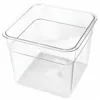 Square Storage Container, 7 1/4 Inch x 7 1/4 Inch x 4 Inch Size, Plastic, Clear