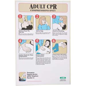 ACCUFORM SIGNS 197718 First Aid Poster 17 x 11in | AF2YNU 6ZDR6