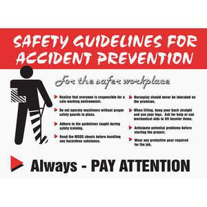ACCUFORM SIGNS PST211 Poster Sicherheitsrichtlinien für 18 x 24 Zoll | AC4WXJ 31A026