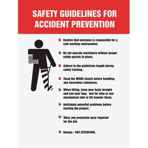 ACCUFORM SIGNS PST216 Poster Safety Guidelines For 18 x 24 Inch | AC4WXV 31A036