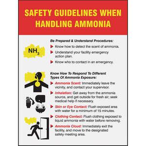 ACCUFORM SIGNS PST333 Poster Safety Guidelines 18 x 24 Inch | AC4WXZ 31A040