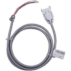 ACUITY LITHONIA QD120 12/3G09 M10 Drop-Kabel Quick-flex Qd 120v 9 Fuß | AE9QBF 6LFR7
