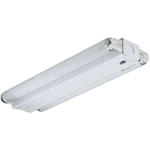 ACUITY LITHONIA SM 2 25 MVOLT GEB10IS Fixture Side Mount T8 | AE7FZG 5YA58